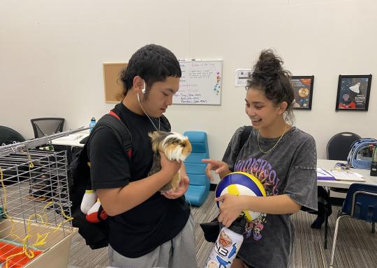 Late nite teens hold a gerbil at the YMCA