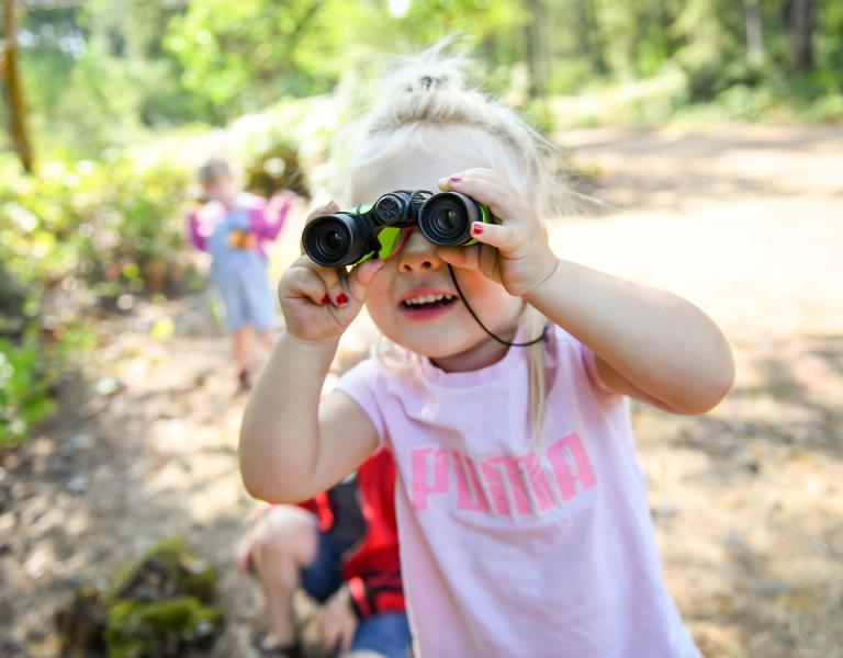 Birdwatching at YMCA Camp Lake Helena